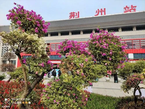 杭州到荆州物流公司|杭州到荆州专线|搬家搬厂