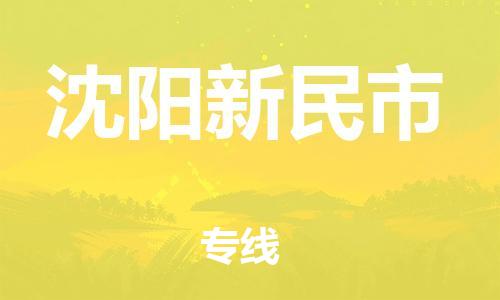 广州到沈阳新民市电动车托运-广州到沈阳新民市电动车邮寄专线-免费木架包装不拆电池物流